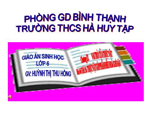 Bài 46. Thực vật góp phần điều hoà khí hậu