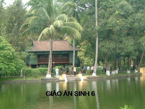 Bài 19. Đặc điểm bên ngoài của lá