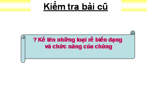 Bài 13. Cấu tạo ngoài của thân