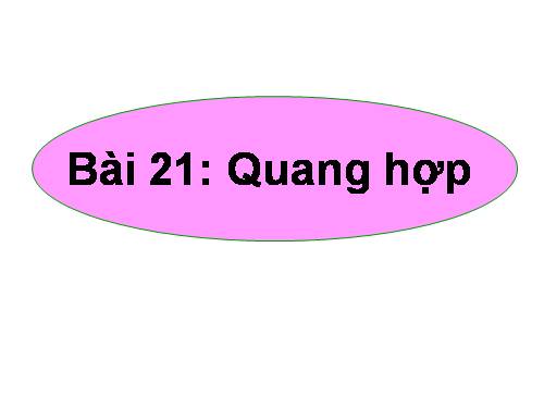 Bài 21. Quang hợp