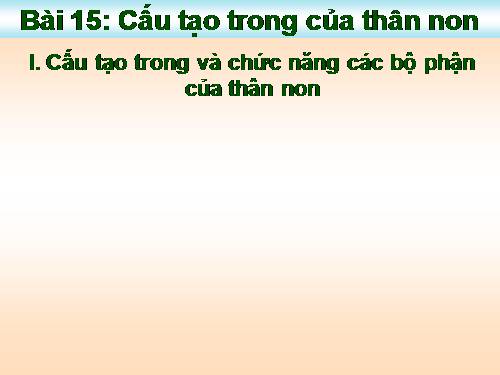 Bài 15. Cấu tạo trong của thân non