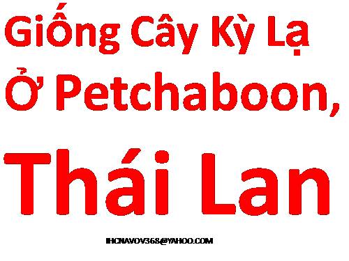 Các loài cay lạ