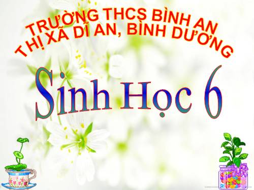 Bài 14. Thân dài ra do đâu ?