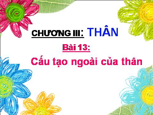 Bài 13. Cấu tạo ngoài của thân