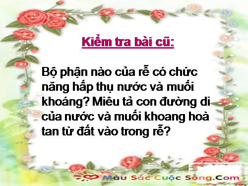 Bài 12. Biến dạng của rễ
