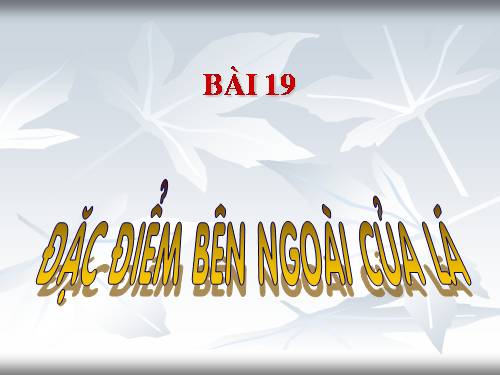 Bài 19. Đặc điểm bên ngoài của lá