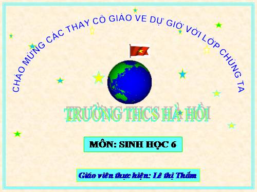 Bài 11. Sự hút nước và muối khoáng của rễ