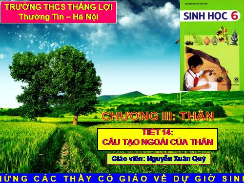 Bài 13. Cấu tạo ngoài của thân