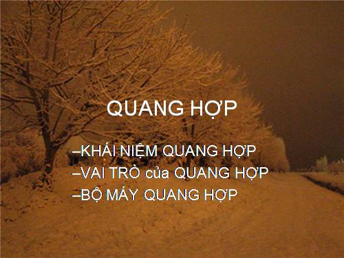 Bài 21. Quang hợp