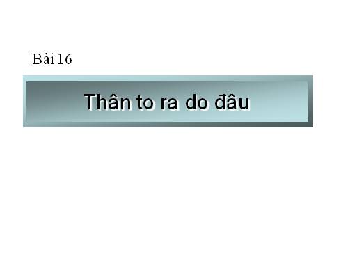 Bài 16. Thân to ra do đâu ?