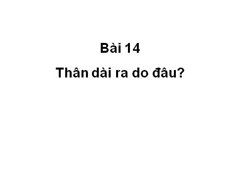 Bài 14. Thân dài ra do đâu ?