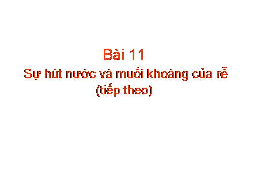 Bài 11. Sự hút nước và muối khoáng của rễ