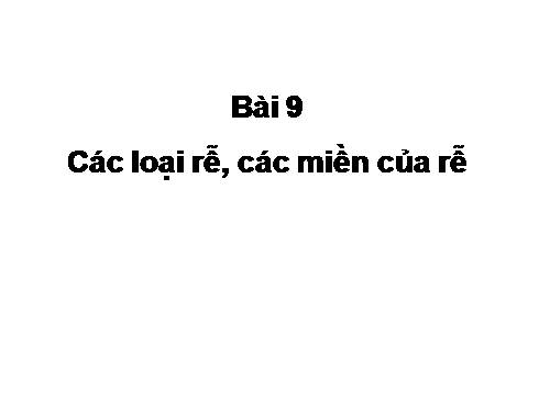 Bài 9. Các loại rễ, các miền của rễ