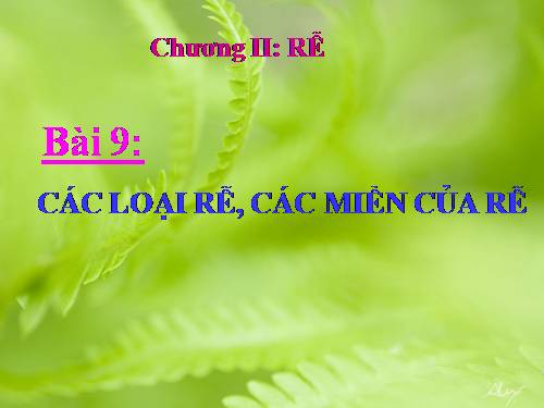 Bài 9. Các loại rễ, các miền của rễ