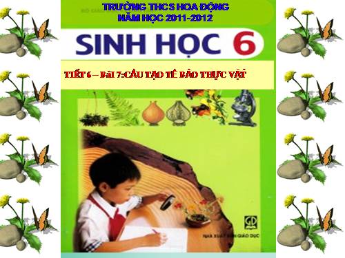 Bài 7. Cấu tạo tế bào thực vật