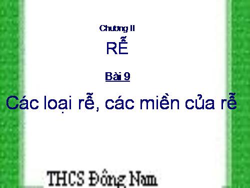 Bài 9. Các loại rễ, các miền của rễ