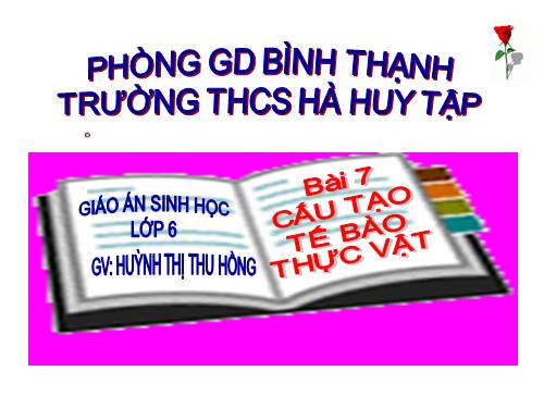 Bài 7. Cấu tạo tế bào thực vật