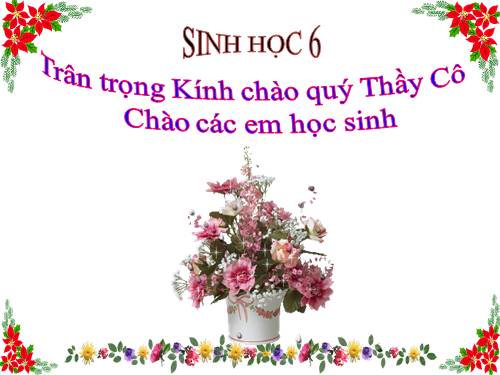 Bài 23. Cây có hô hấp không?