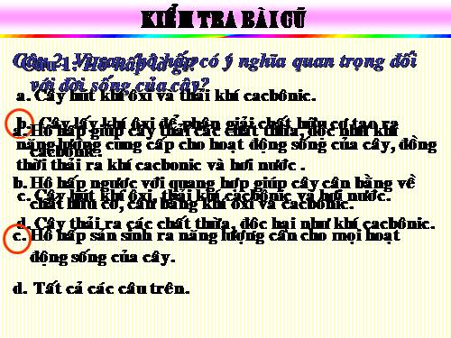 Bài 24. Phần lớn nước vào cây đi đâu?