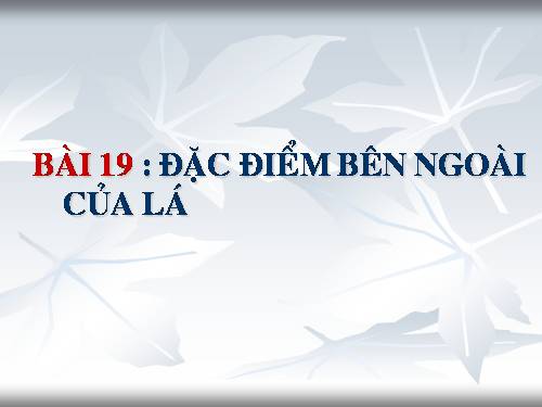 Bài 19. Đặc điểm bên ngoài của lá