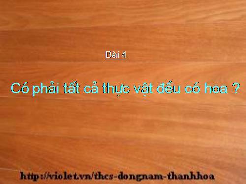 Bài 4. Có phải tất cả thực vật đều có hoa?