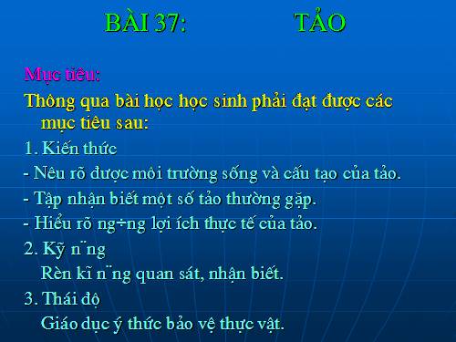 Bài 37. Tảo