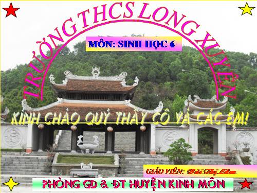 Bài 27. Sinh sản sinh dưỡng do người