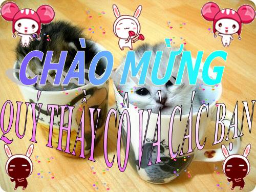 Bài 49. Bảo vệ sự đa dạng của thực vật