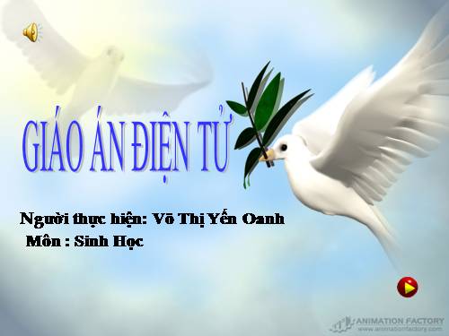 Bài 29. Các loại hoa