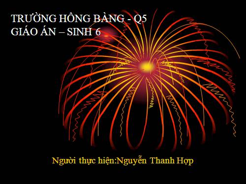 Bài 42. Lớp Hai lá mầm và lớp Một lá mầm