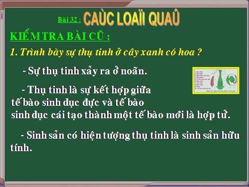 Bài 32. Các loại quả
