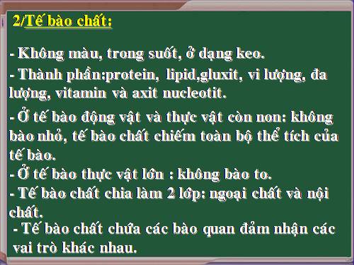 sinh6_te bao chat