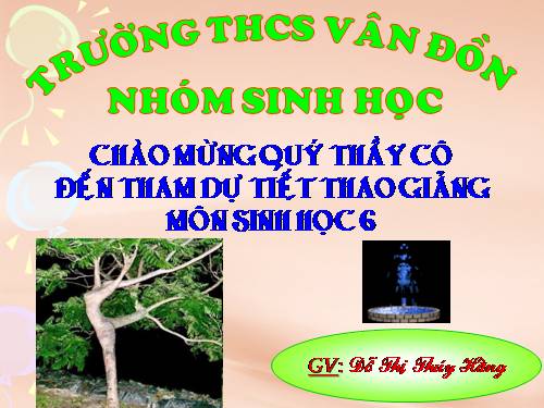 Bài 46. Thực vật góp phần điều hoà khí hậu