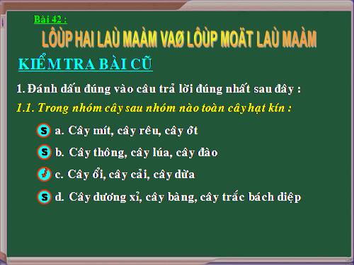 Bài 42. Lớp Hai lá mầm và lớp Một lá mầm