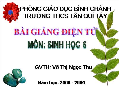 Bài 32. Các loại quả