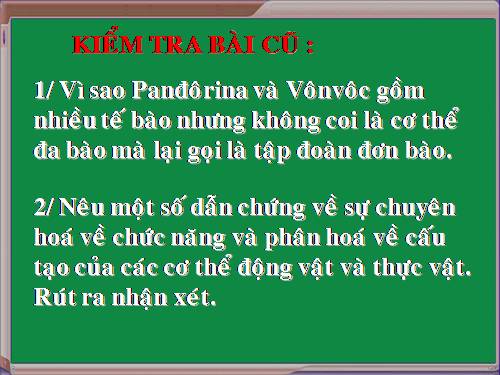 sinh6_cau tao te bao