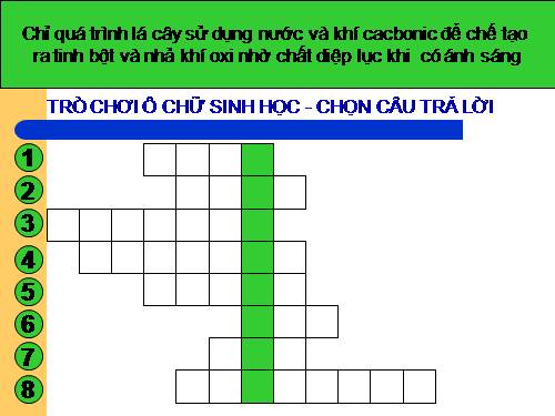 Bài 36: Tổng kết về cây có hoa