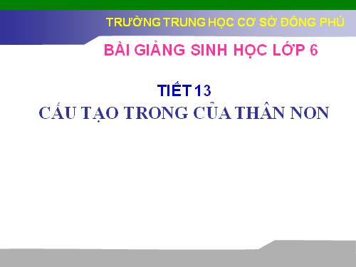 Bài 15. Cấu tạo trong của thân non