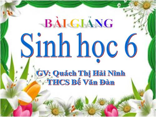 Bài 28. Cấu tạo và chức năng của hoa