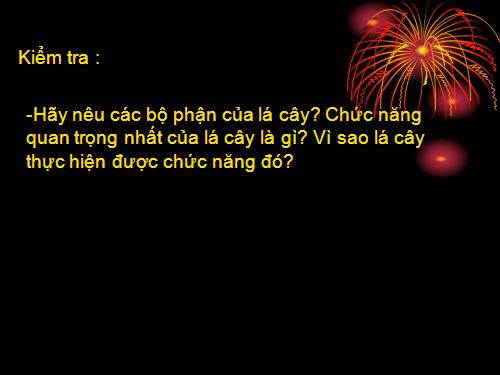 Bài 21. Quang hợp