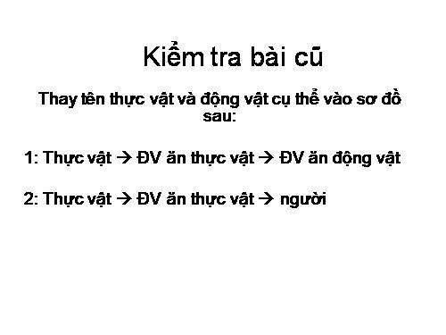 Bài 48. Vai trò của thực vật đối với động vật và đối với đời sống con người