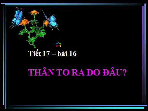 Bài 16. Thân to ra do đâu ?