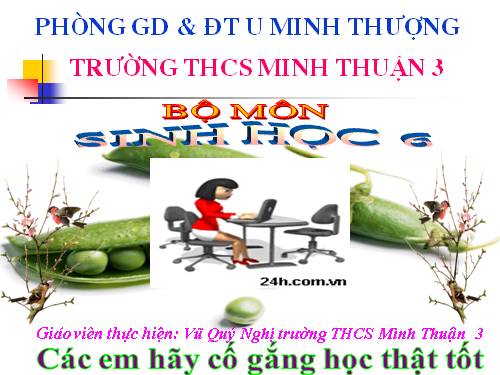 Bài 41. Hạt kín - Đặc điểm của thực vật Hạt kín