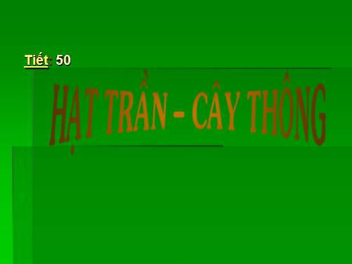 Bài 40. Hạt trần - Cây thông