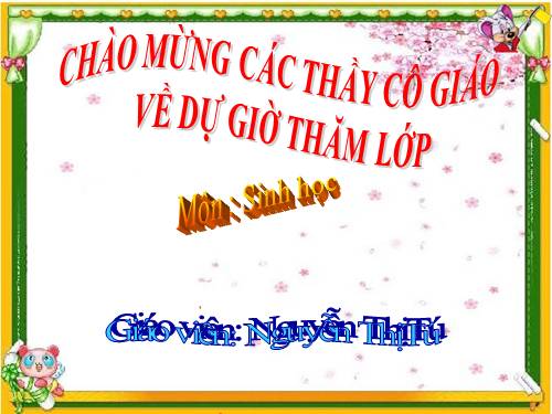 Bài 28. Cấu tạo và chức năng của hoa