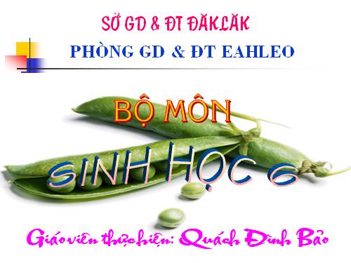 Bài 41. Hạt kín - Đặc điểm của thực vật Hạt kín