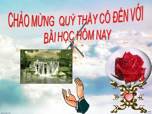 Bài 42. Lớp Hai lá mầm và lớp Một lá mầm