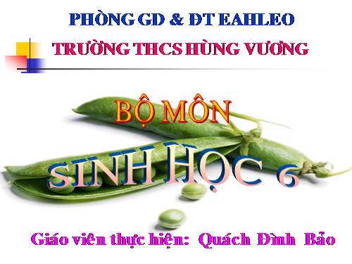 Bài 41. Hạt kín - Đặc điểm của thực vật Hạt kín