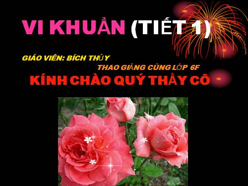 BÀI 50: VI KHUẨN