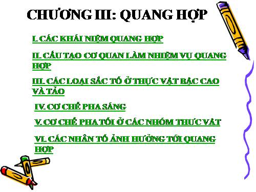 Bài 21. Quang hợp